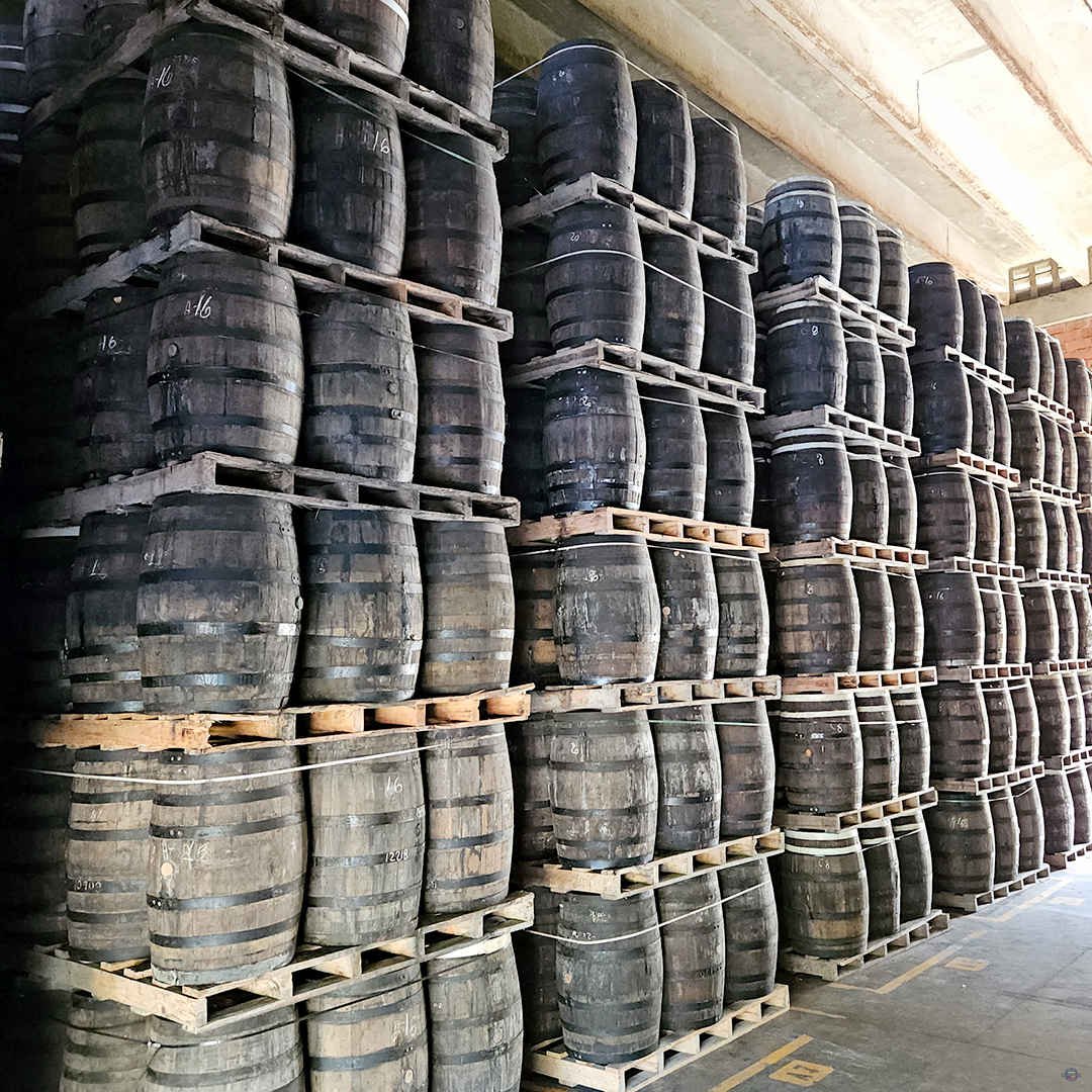 Barceló Barcelo Pro Excursions