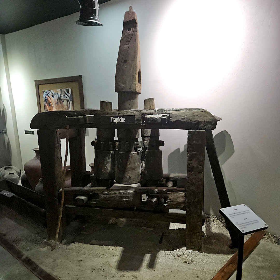 Barceló Barcelo Pro Excursions