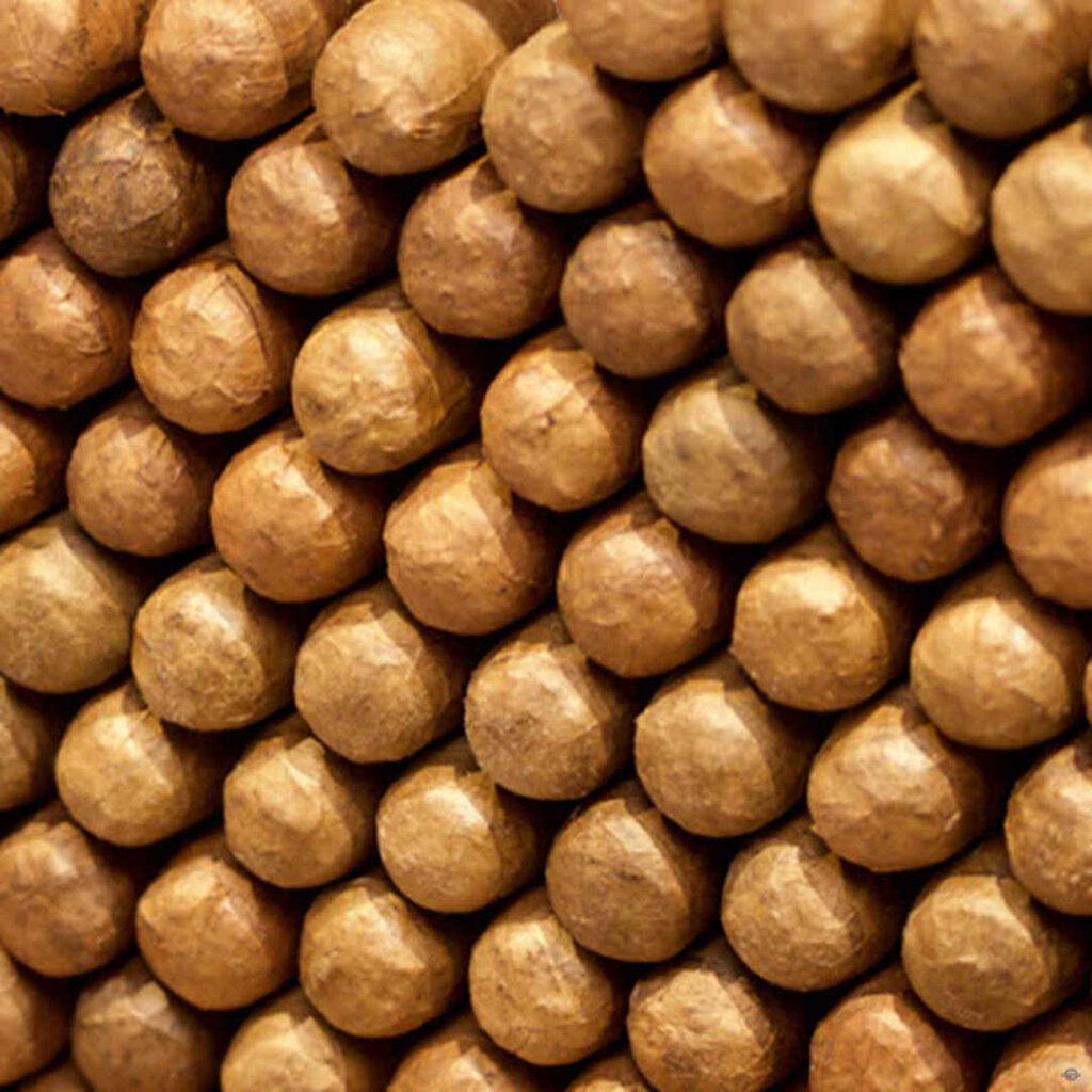 Cigar-2