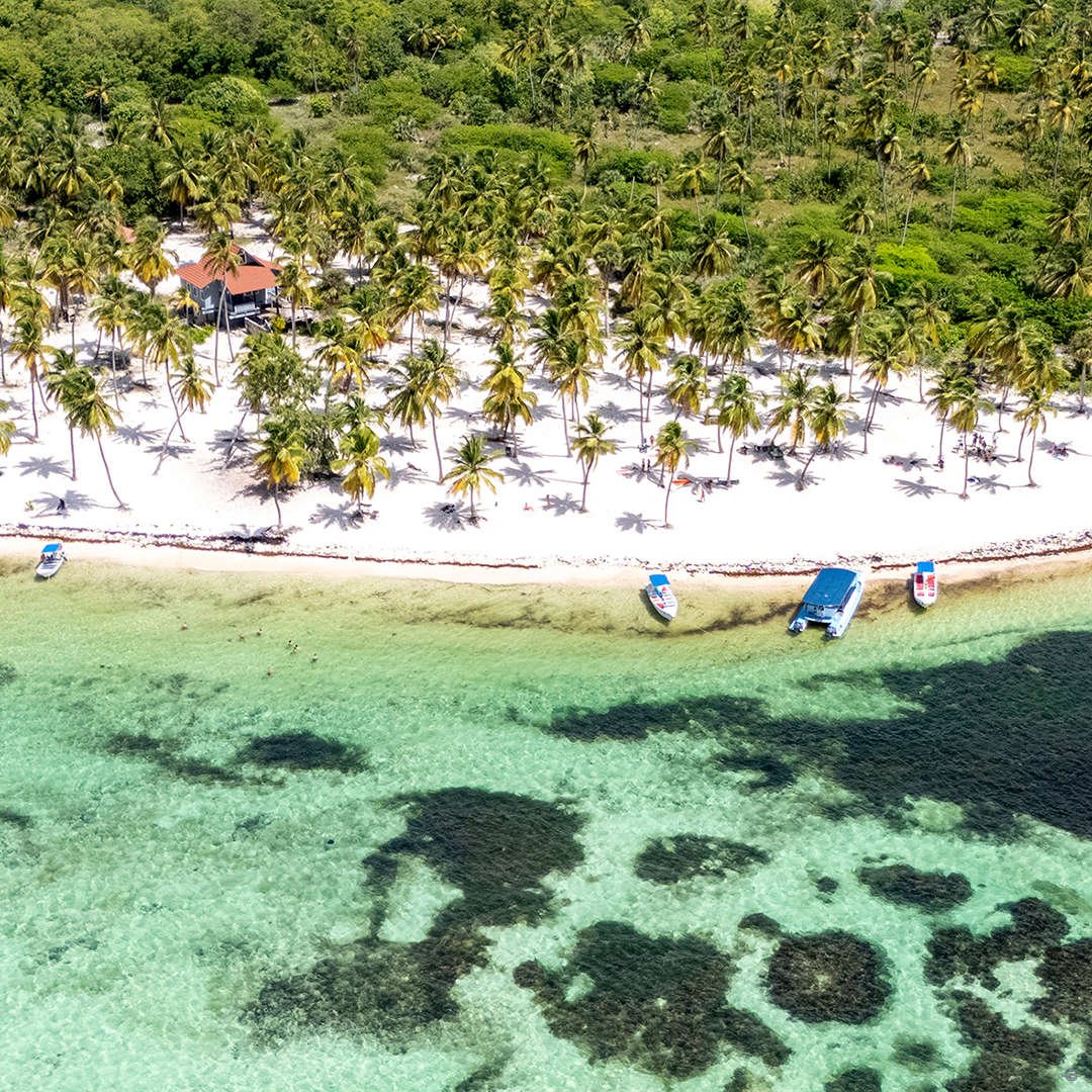 Saona Island Pro Excursions