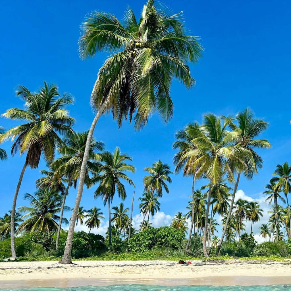 Ostrov Saona Pro Excursions