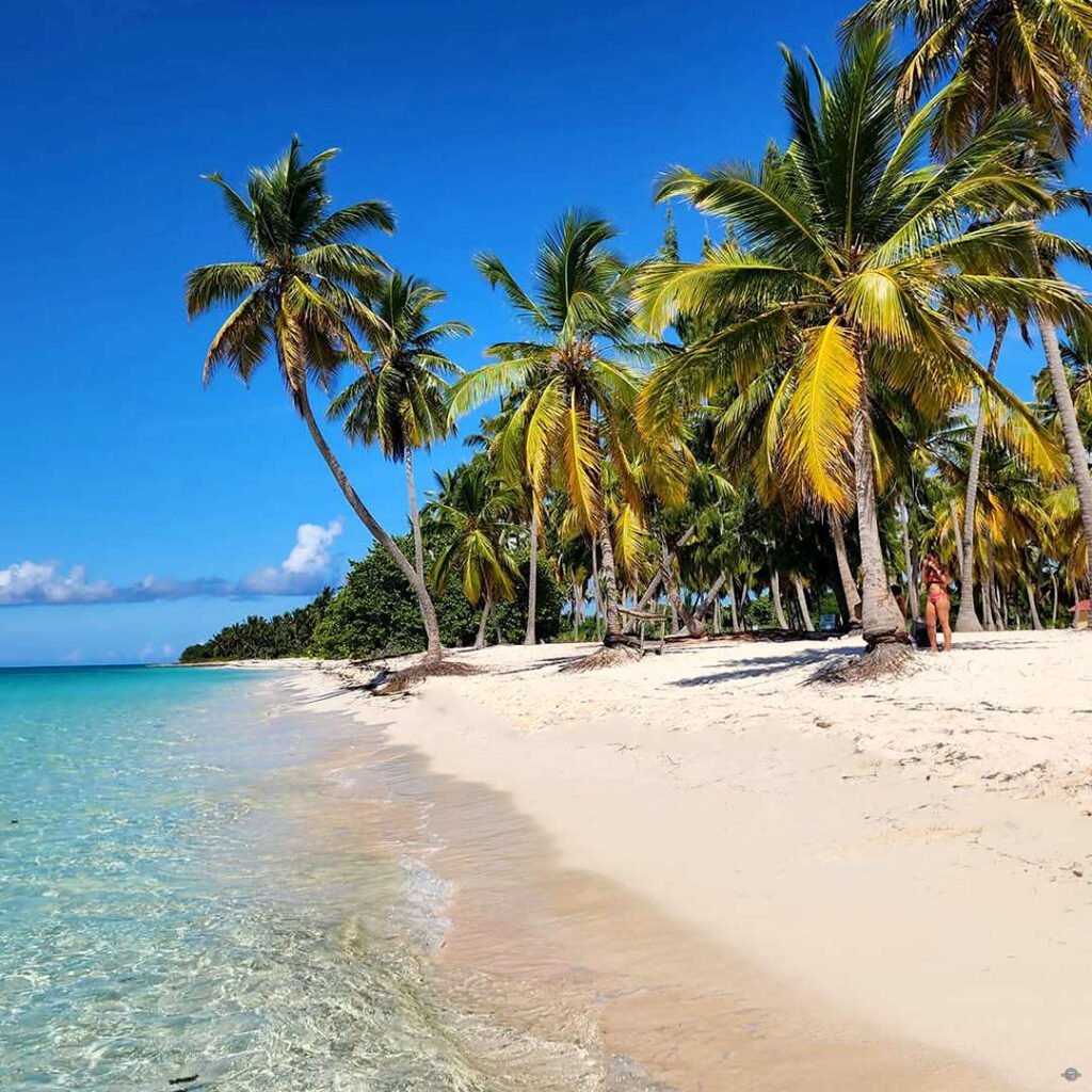 Ostrov Saona Pro Excursions