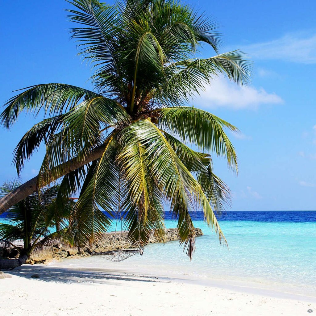 Ostrov Saona Pro Excursions