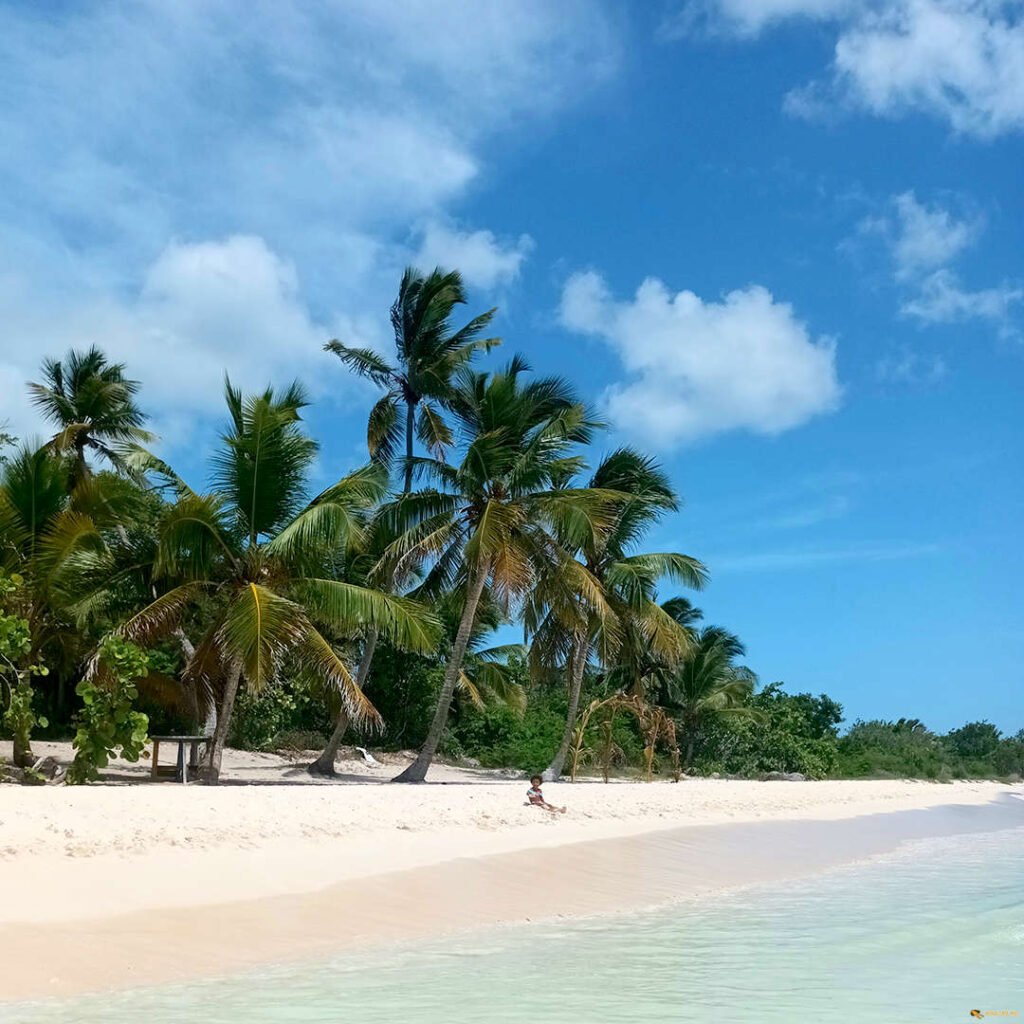 Ostrov Saona Pro Excursions