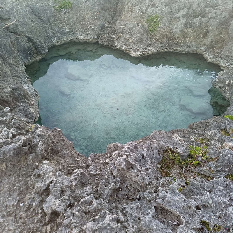 4 Wheeler Quad Pro Excursions