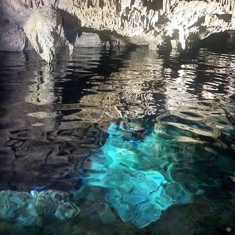 4 Wheeler Quad Pro Excursions