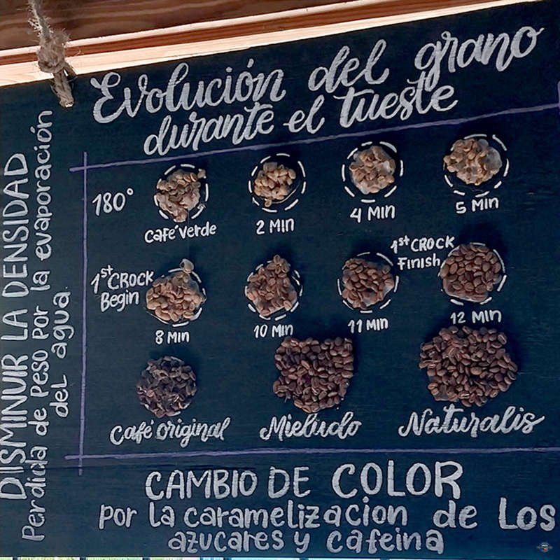 4 Wheeler Quad Pro Excursions