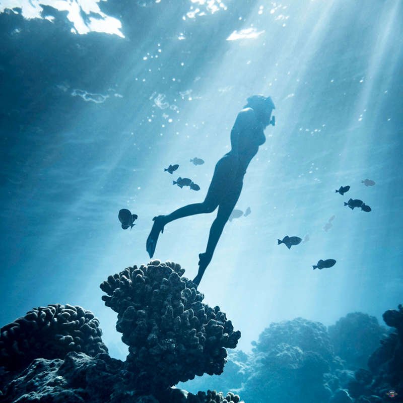 Diving Potápění Bayahibe