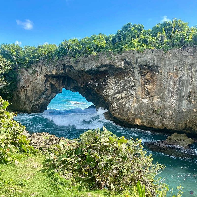 Las Galeras Samana Pro Excursions