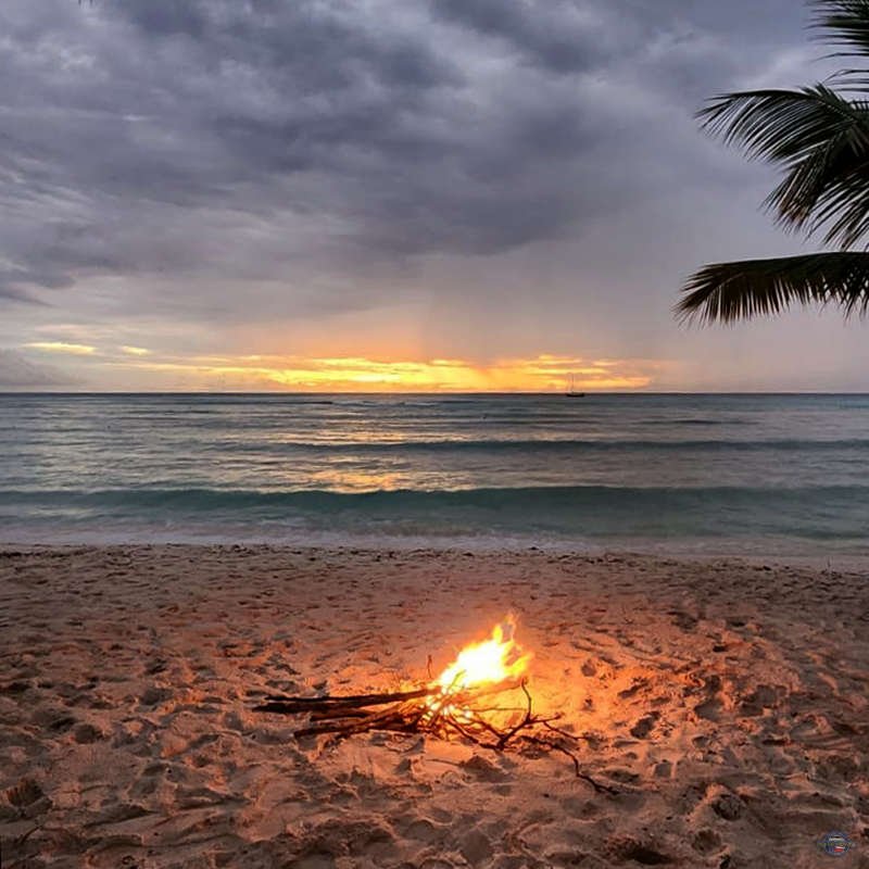 Saona Island Pro Excursions