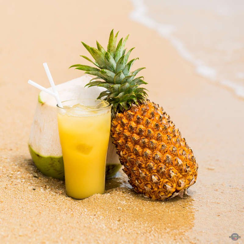 Saona Privat Bayahibe Pro Excursions Saona