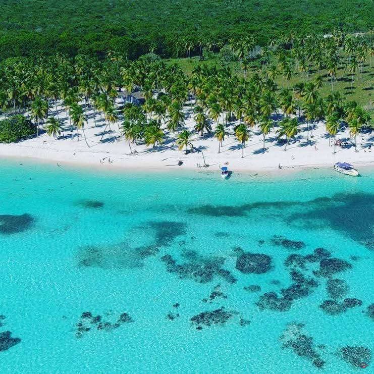 Saona Island Trip Pro Excursions