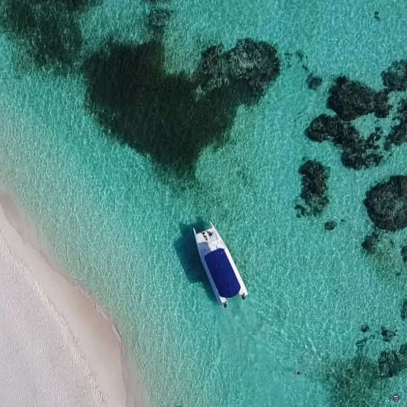 Saona Island Trip Pro Excursions