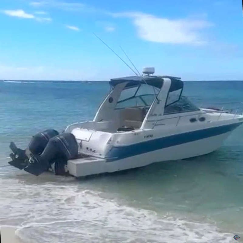 Saona Privat Bayahibe Pro Excursions Saona