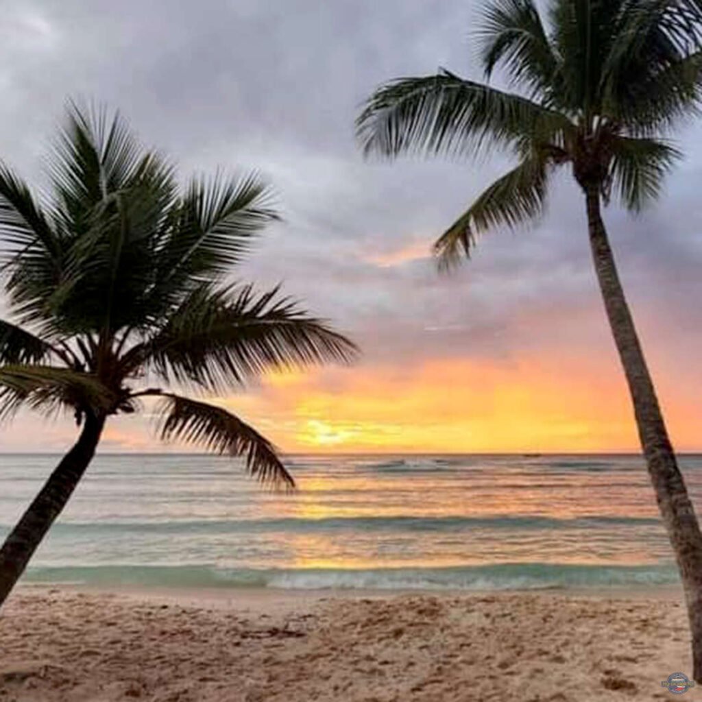 Saona Island Pro Excursions