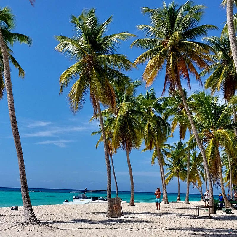 Saona Island Trip Pro Excursions