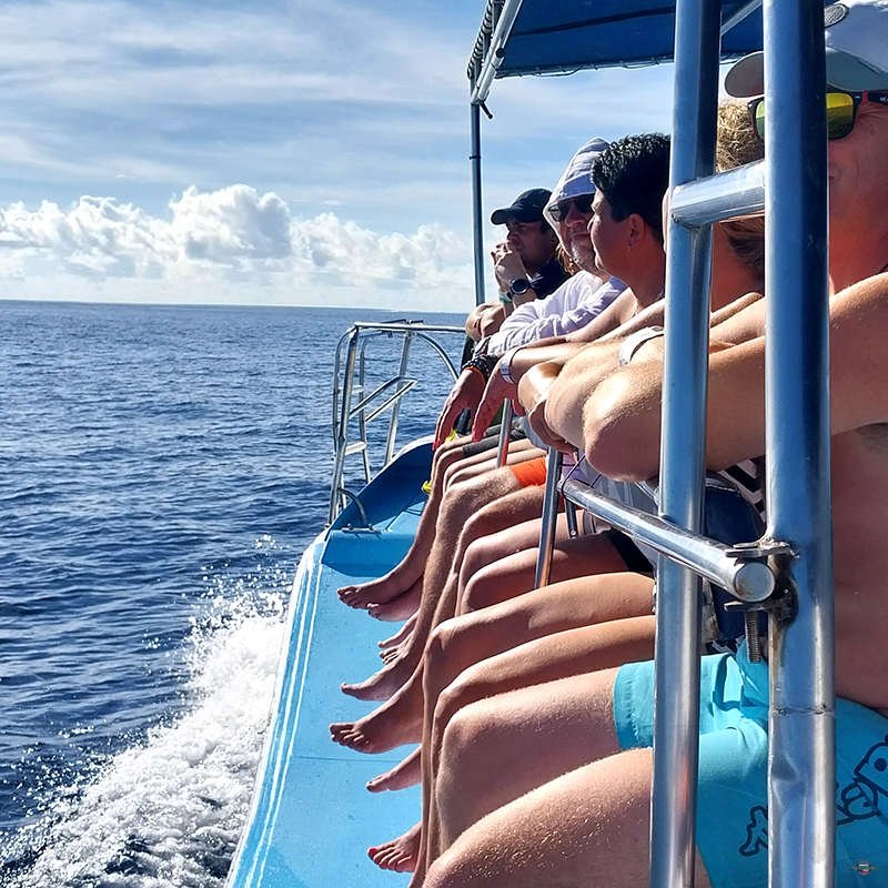 Saona Island Trip Pro Excursions